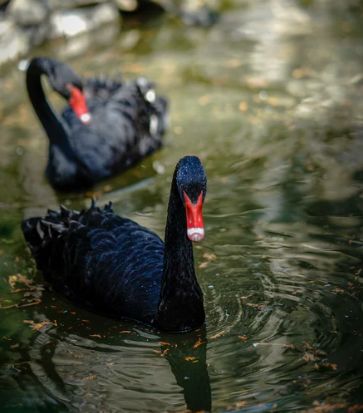 被評為“上海名牌”產品，這家企業究竟為民族閥門工業盡了多少力量？-