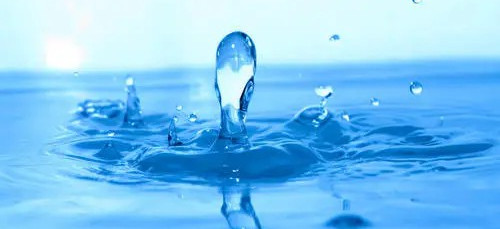 碳中和也內卷？歐洲啤酒巨頭將用污水釀酒